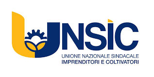 logo-Unsic
